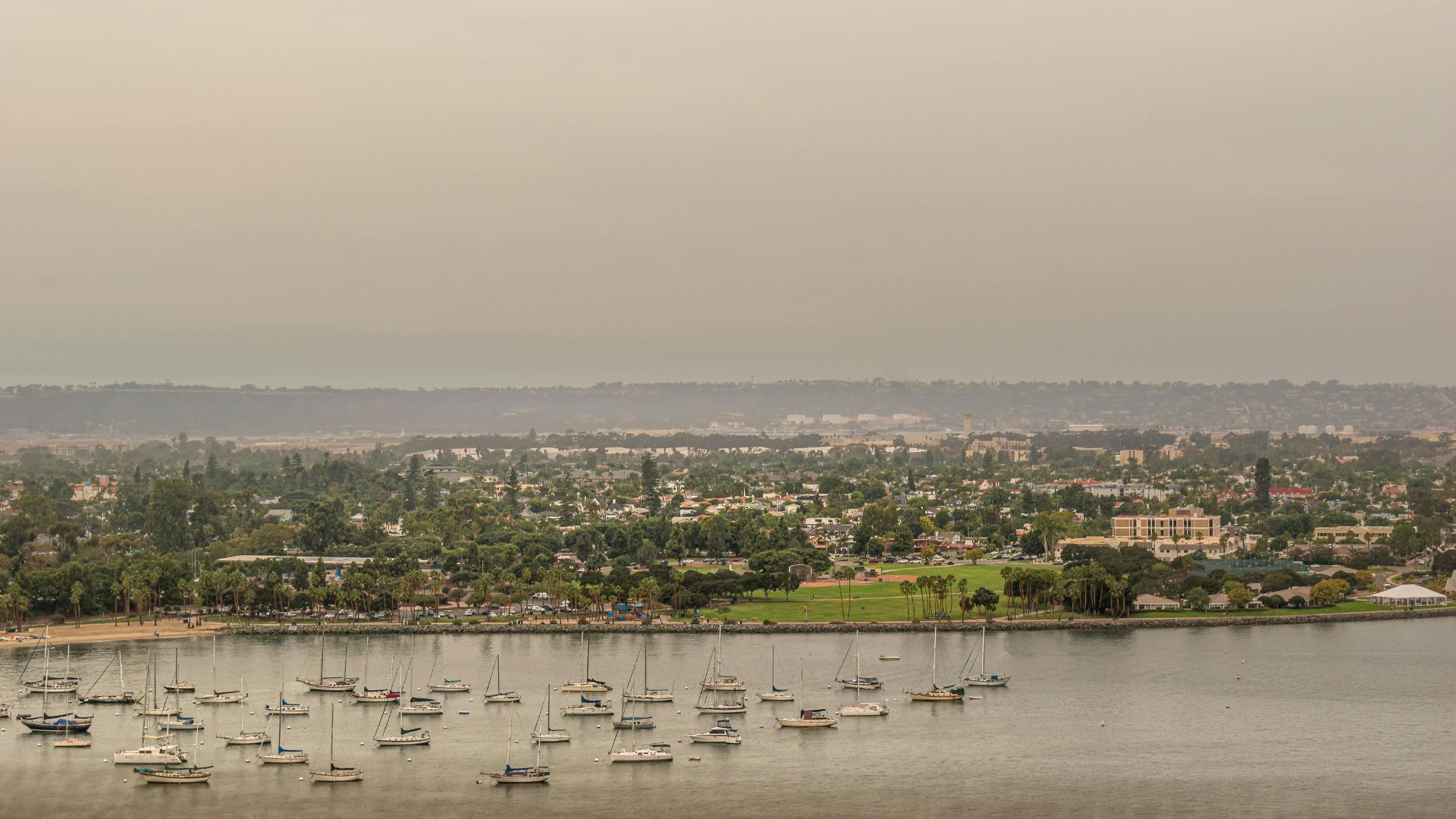 An aerial view of a bay with numerous sailboats docked in the water, a tree-lined shore, and a city extending into the background under a hazy sky.