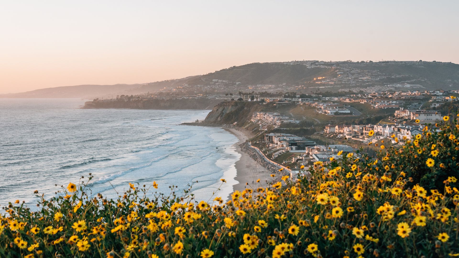 A panoramic view of a coastline at sunset, featuring a wide sandy beach with waves breaking on the shore, backed by coastal bluffs and a town with scattered buildings. In the foreground, vibrant yellow wildflowers are blooming, adding a colorful contrast to the scene.