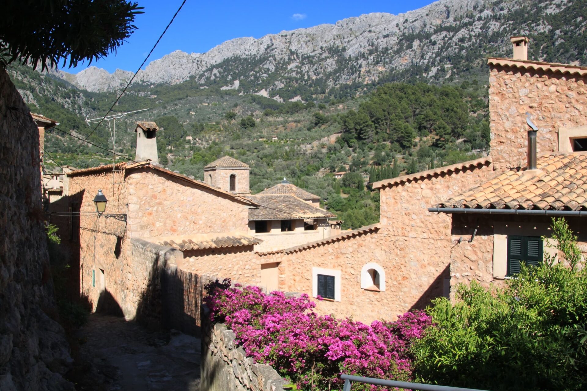 Deia 