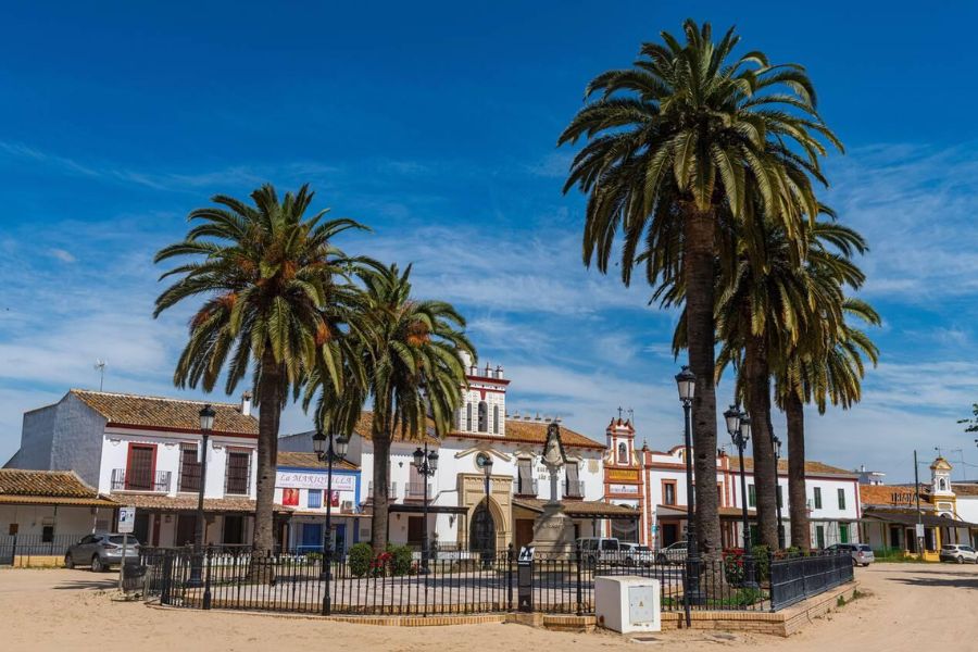 Doñana National Park: My Quest for Flamingos, Iberian Lynx, and Migratory Birds in Andalusia's Vast Wetlands