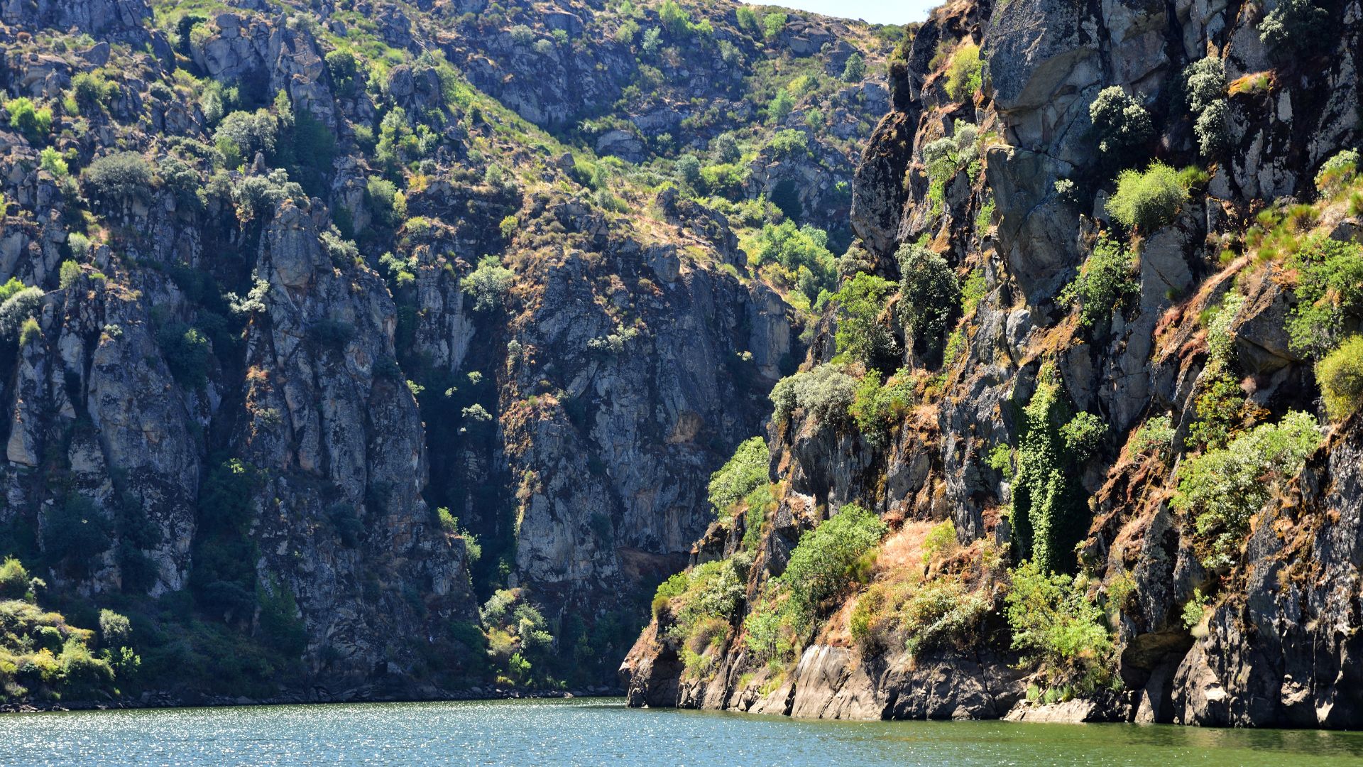 A wide shot of the International Douro Natural Park, showing steep, rocky cliffs covered in sparse green vegetation rising from the calm, reflective waters of the Douro River under a bright sky.