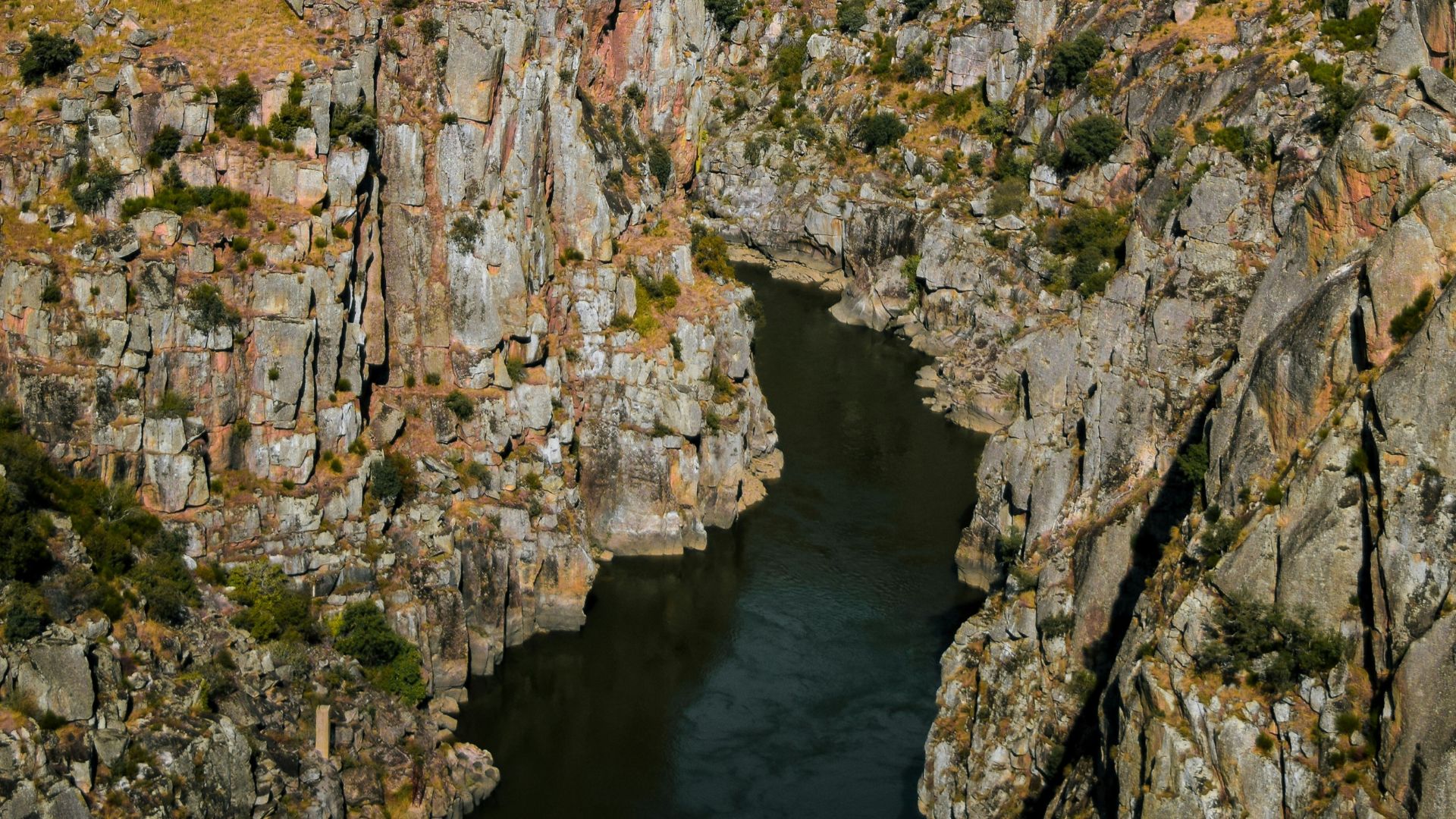 An aerial view of the deep, rocky canyon of the Douro River, winding through a rugged landscape with steep cliffs and sparse vegetation under a bright sky.