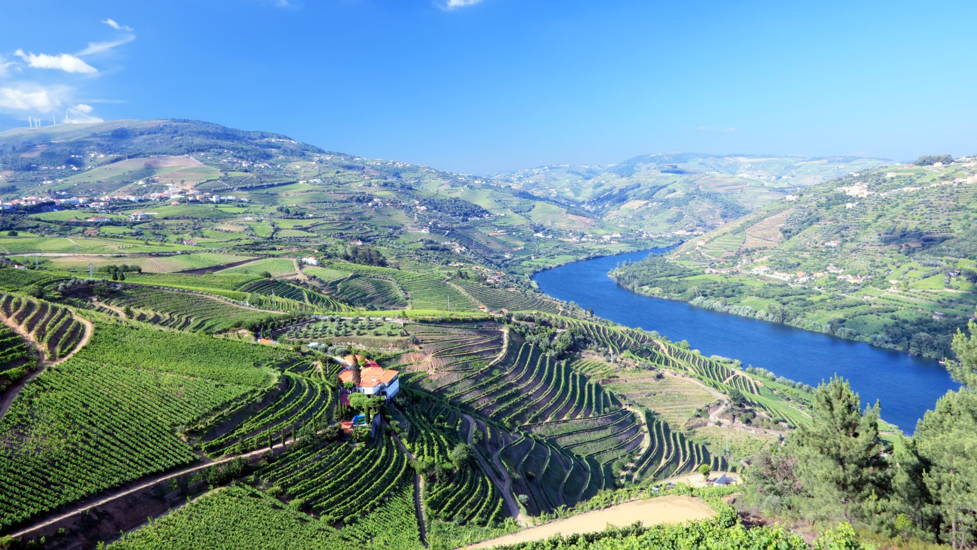 Terraced vineyards and a winding river in the scenic Douro Valley, Portugal, famous for Port wine production.