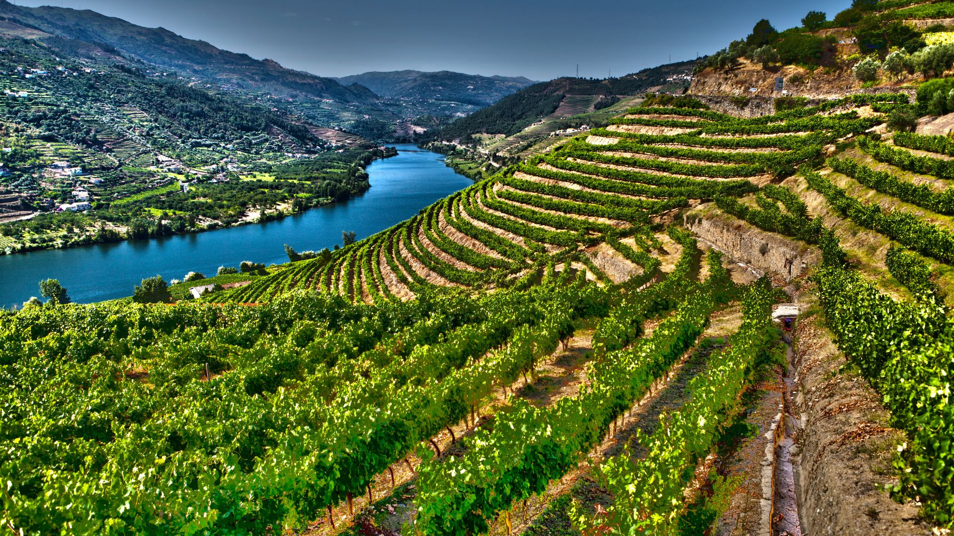 A scenic view of the Douro Valley in Portugal, showcasing terraced vineyards along the river.