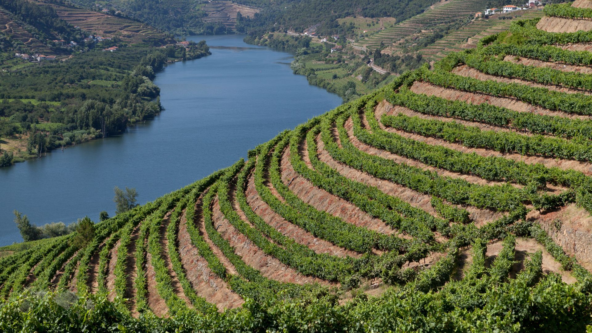 A scenic view of the Douro Valley in Portugal, showcasing terraced vineyards along the river.