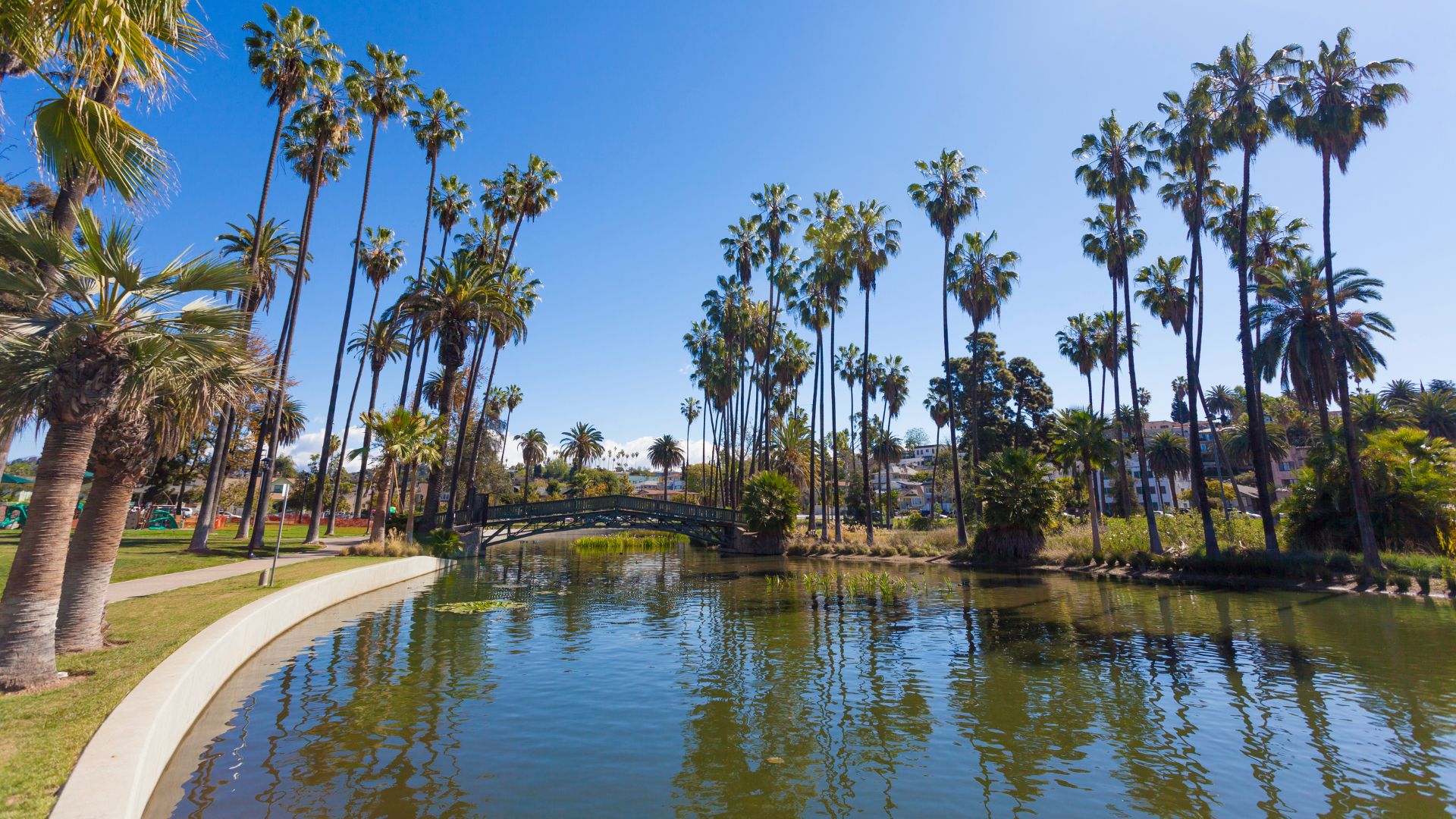 Scenic view of Echo Park Lake in Los Angeles, Southern California, featuring a calm lake, lush palm trees, a charming bridge, and clear blue sky. 