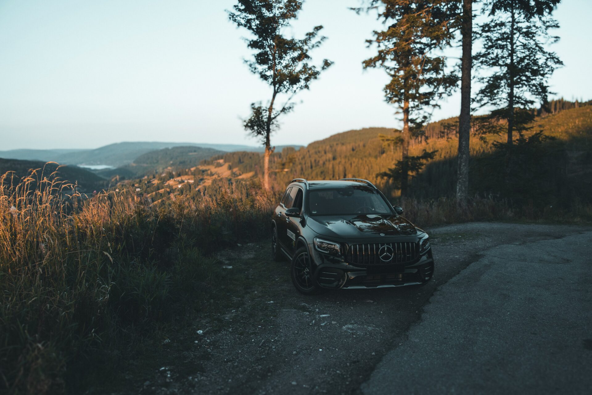 Feldberg Road winding through a dense forest