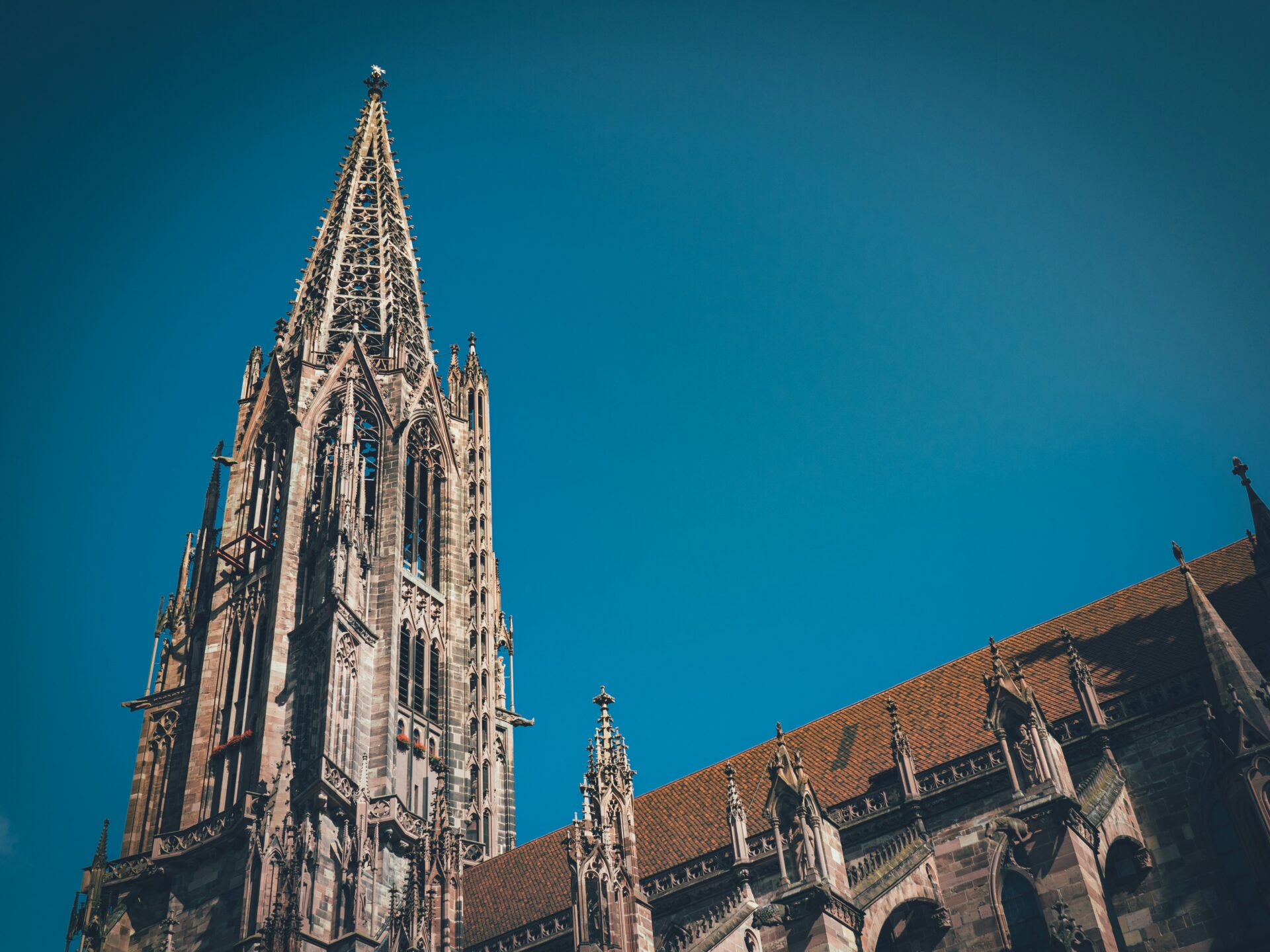 Historic Gothic cathedral Freiburg Minster with soaring spire and ornate exterior.
