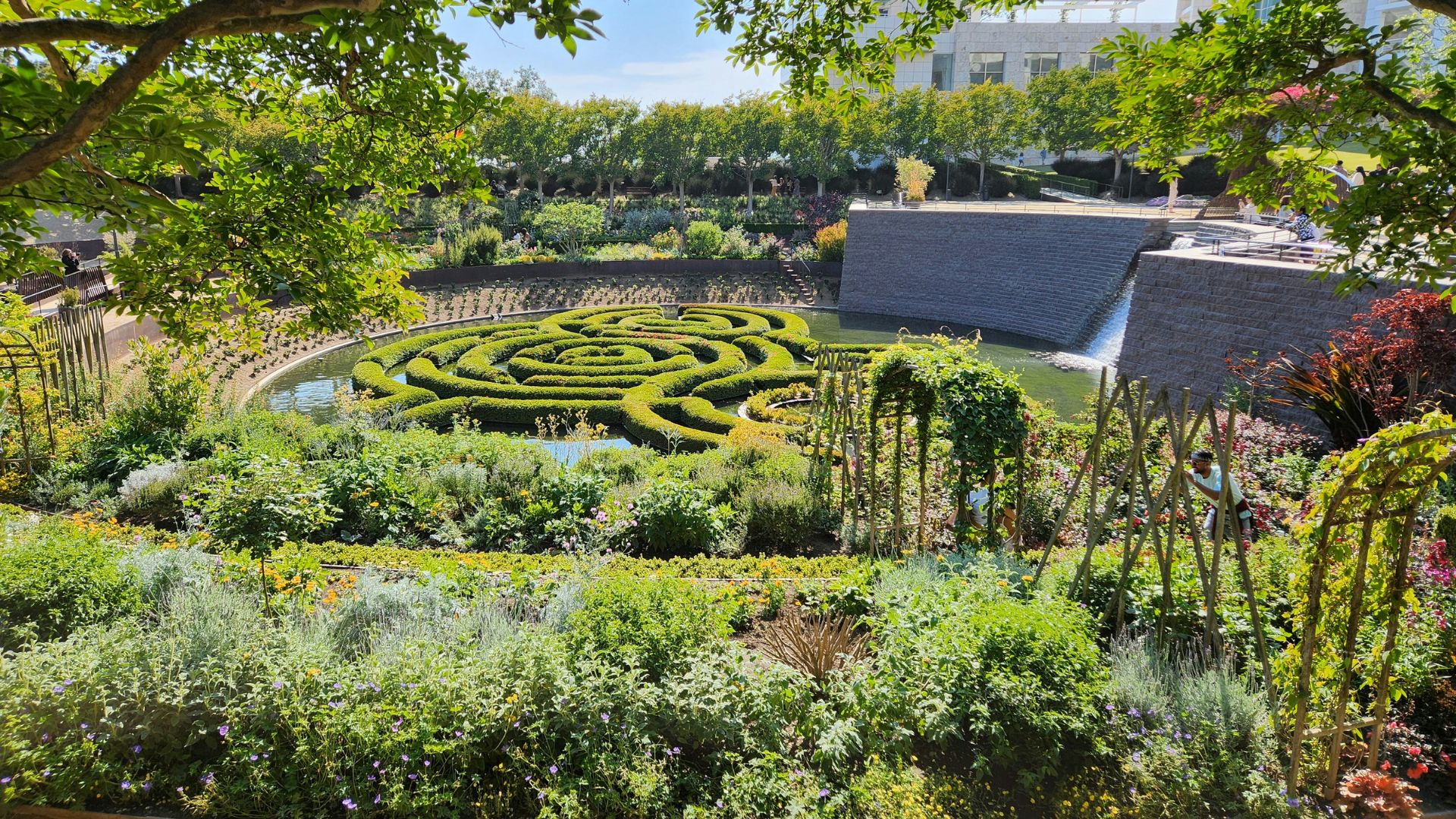Aerial view of the Central Garden at the Getty Center in Los Angeles, featuring a circular azalea maze surrounded by lush green foliage and a tranquil pool, under a clear blue sky.