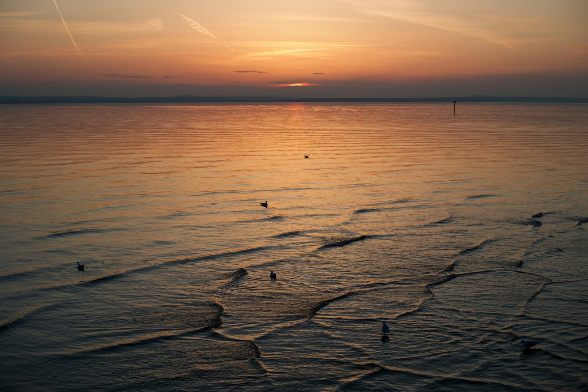 Golden sunset over Lake Constance with calm water reflecting the colorful sky