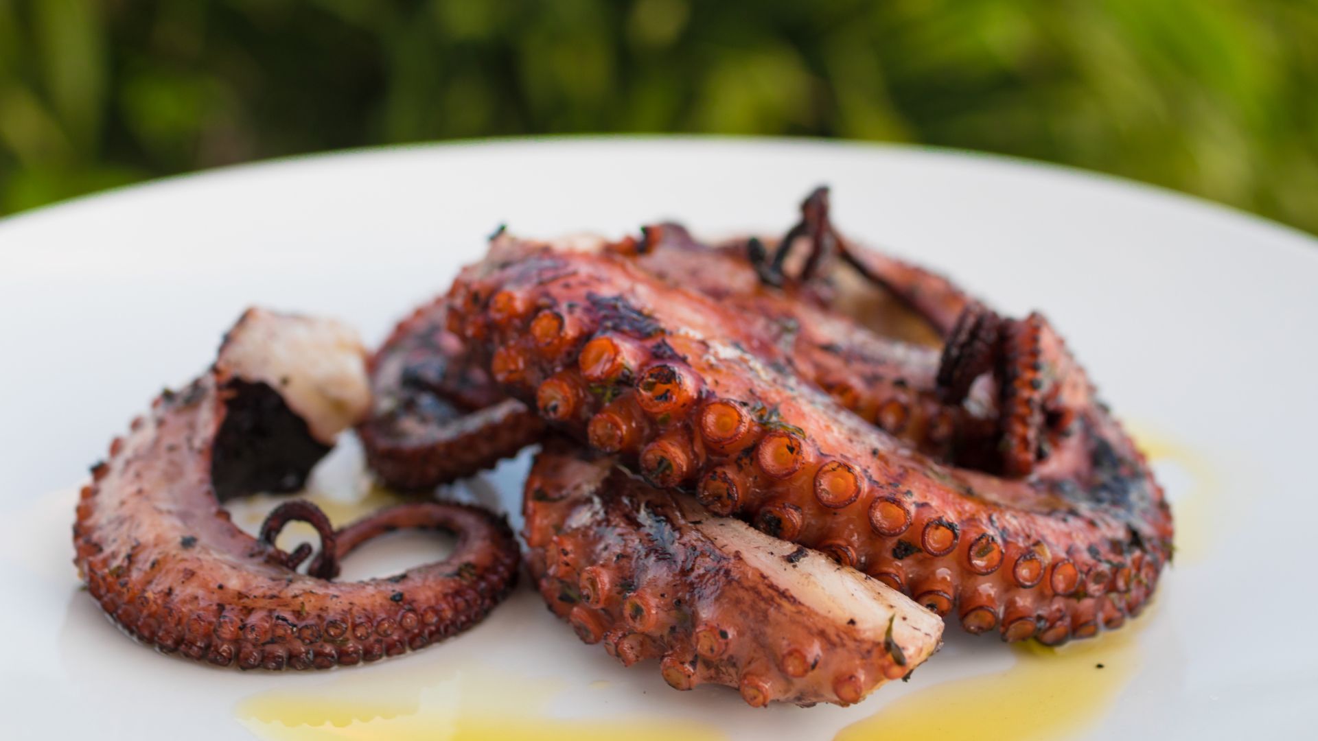 Grilled Octupos on a plate