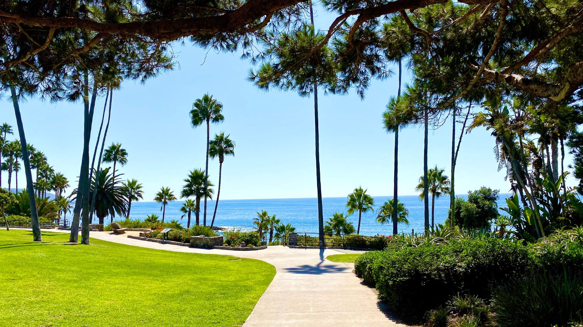 Panoramic view of Heisler Park in Laguna Beach, California, showcasing lush palm trees, a scenic beach stairway leading to the ocean, and people enjoying the sandy shore and clear blue waters.