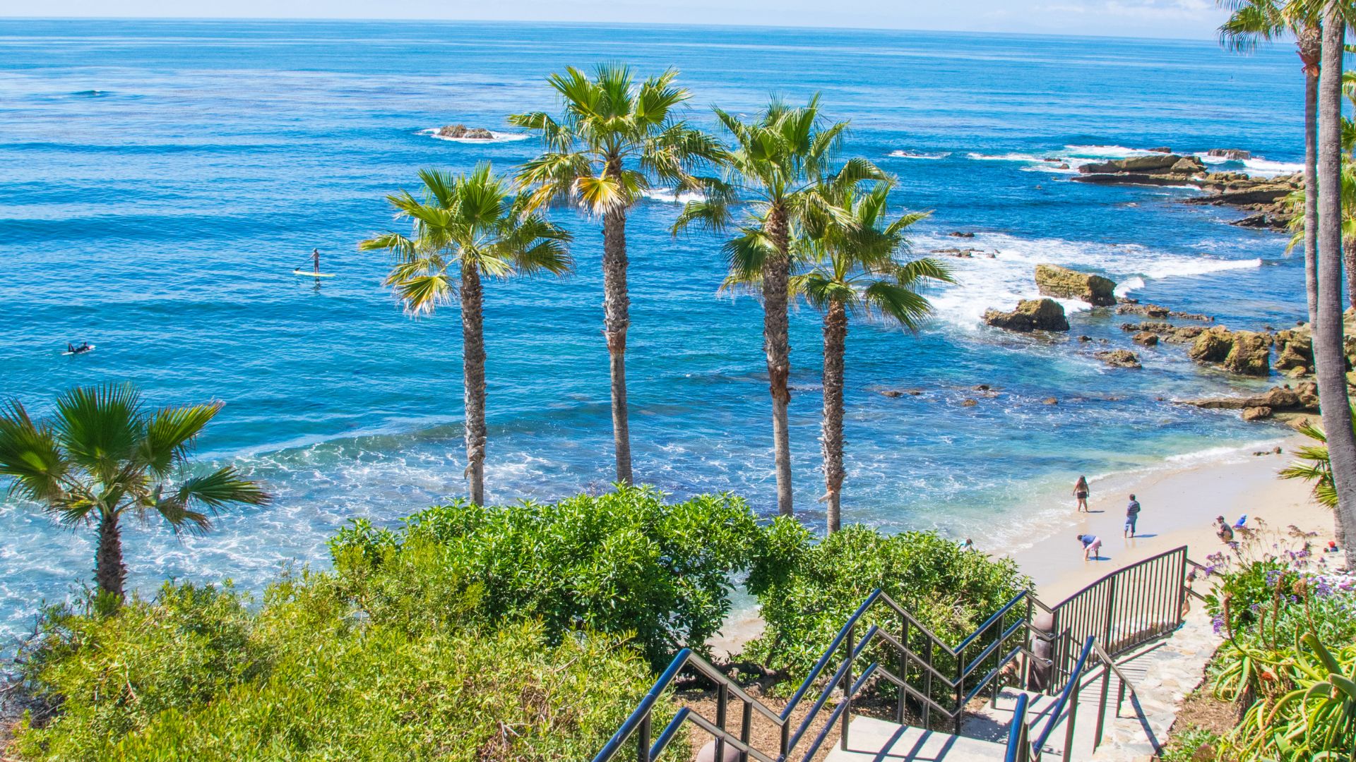 Panoramic view of Heisler Park in Laguna Beach, California, showcasing lush palm trees, a scenic beach stairway leading to the ocean, and people enjoying the sandy shore and clear blue waters.