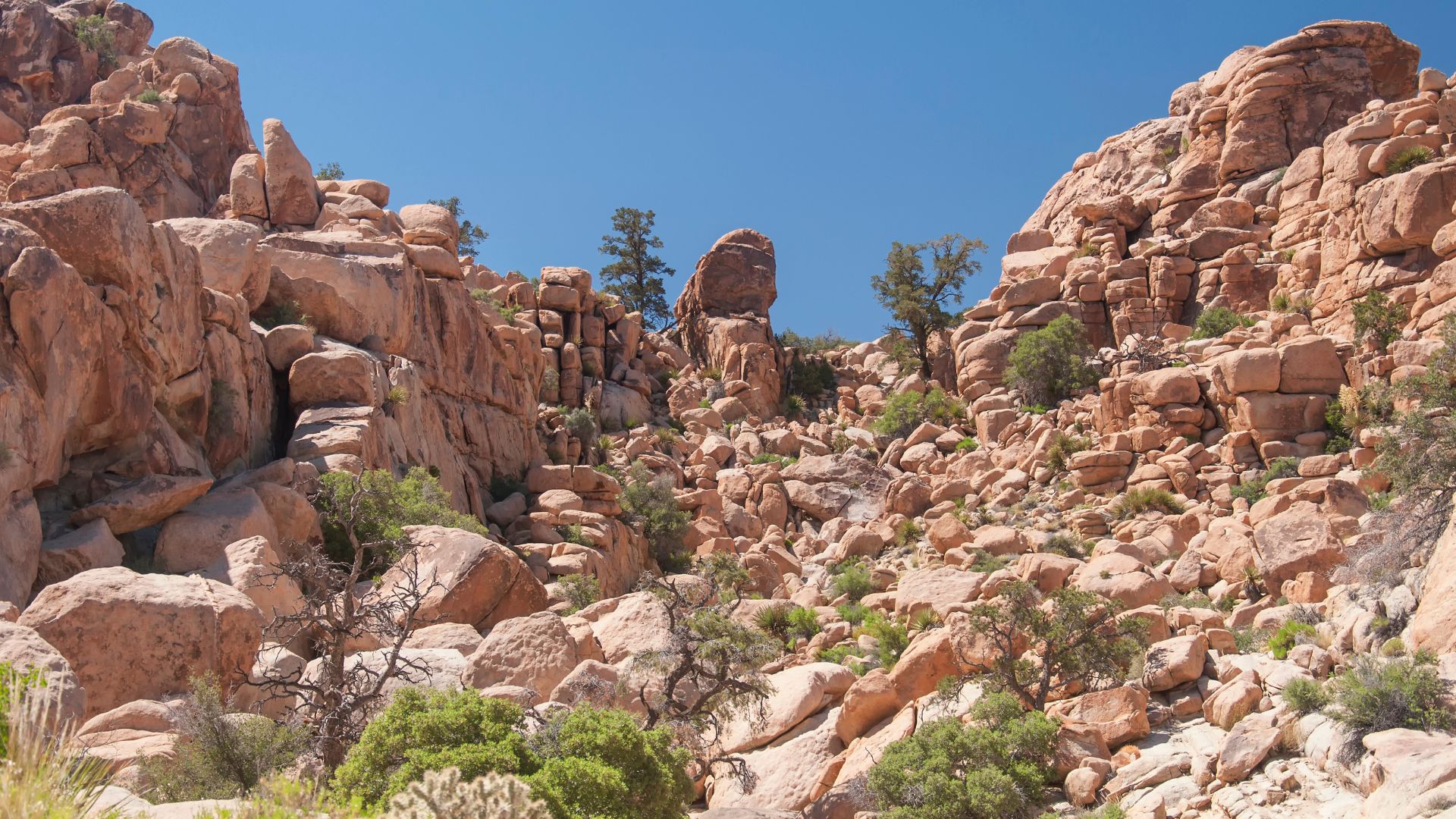 A wide shot of Hidden Valley Trail in Joshua Tree National Park, California, showing large rock formations, sparse desert vegetation including Joshua Trees and bushes, and sandy ground under a clear blue sky.