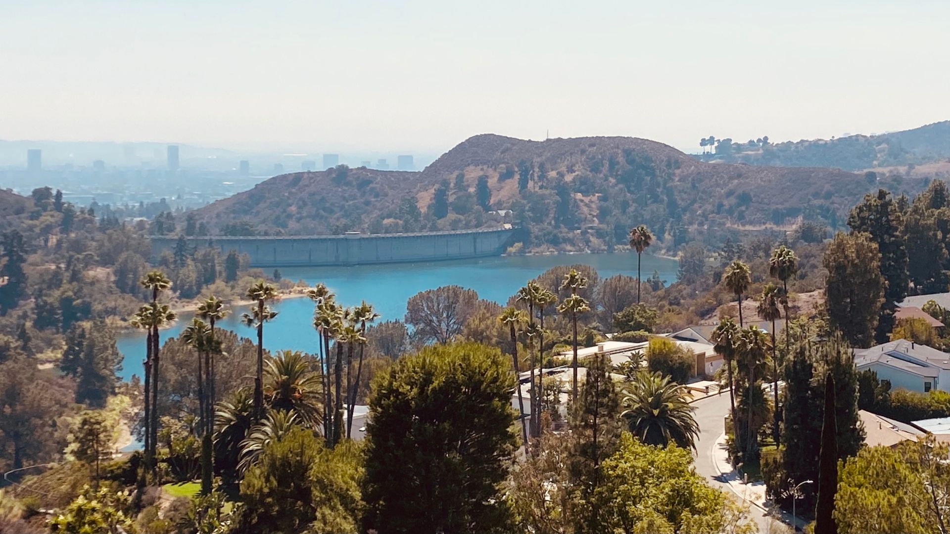 Scenic aerial view of Hollywood Reservoir in Los Angeles, California, surrounded by lush hills and trees. The image includes a dam and the water body, with palm trees and greenery in the foreground, emphasizing the natural beauty of the area.
