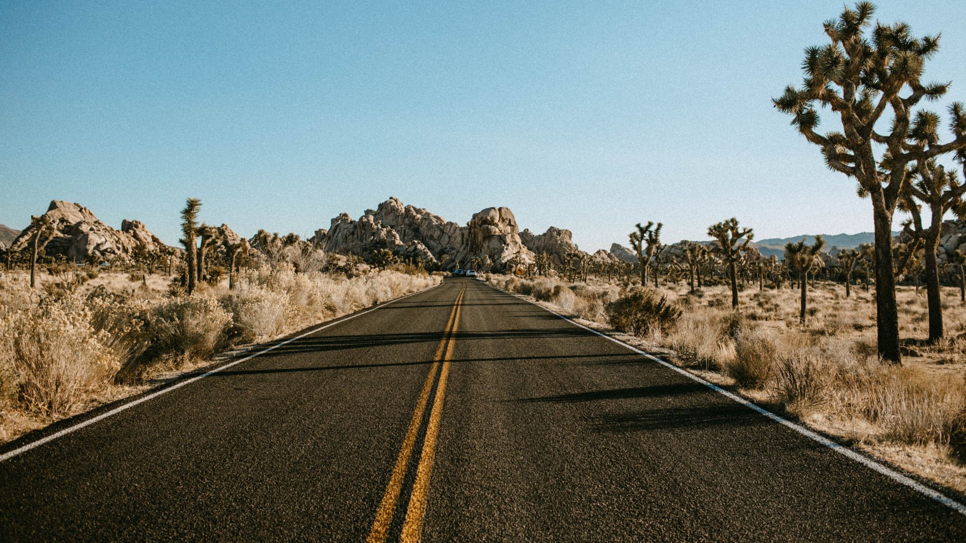 A long, straight road with double yellow lines stretches into the distance through a desert landscape. On either side of the road, the ground is covered with dry brush and numerous Joshua trees. In the background, rocky hills and mountains are visible under a clear, bright blue sky.