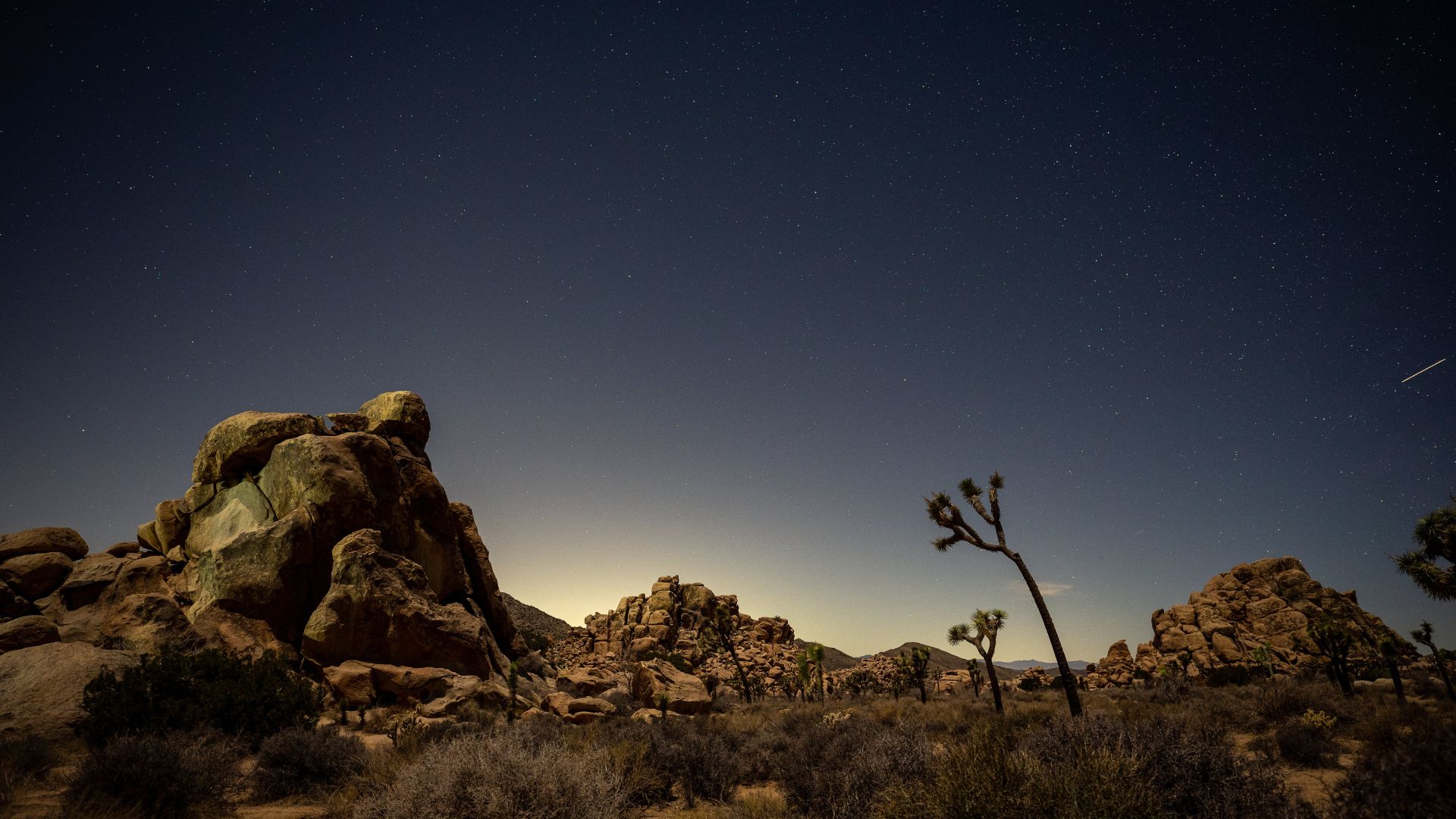 Stones and Joshua trees standing against a starry skies visible above, in Joshua Tree National Park, California.
