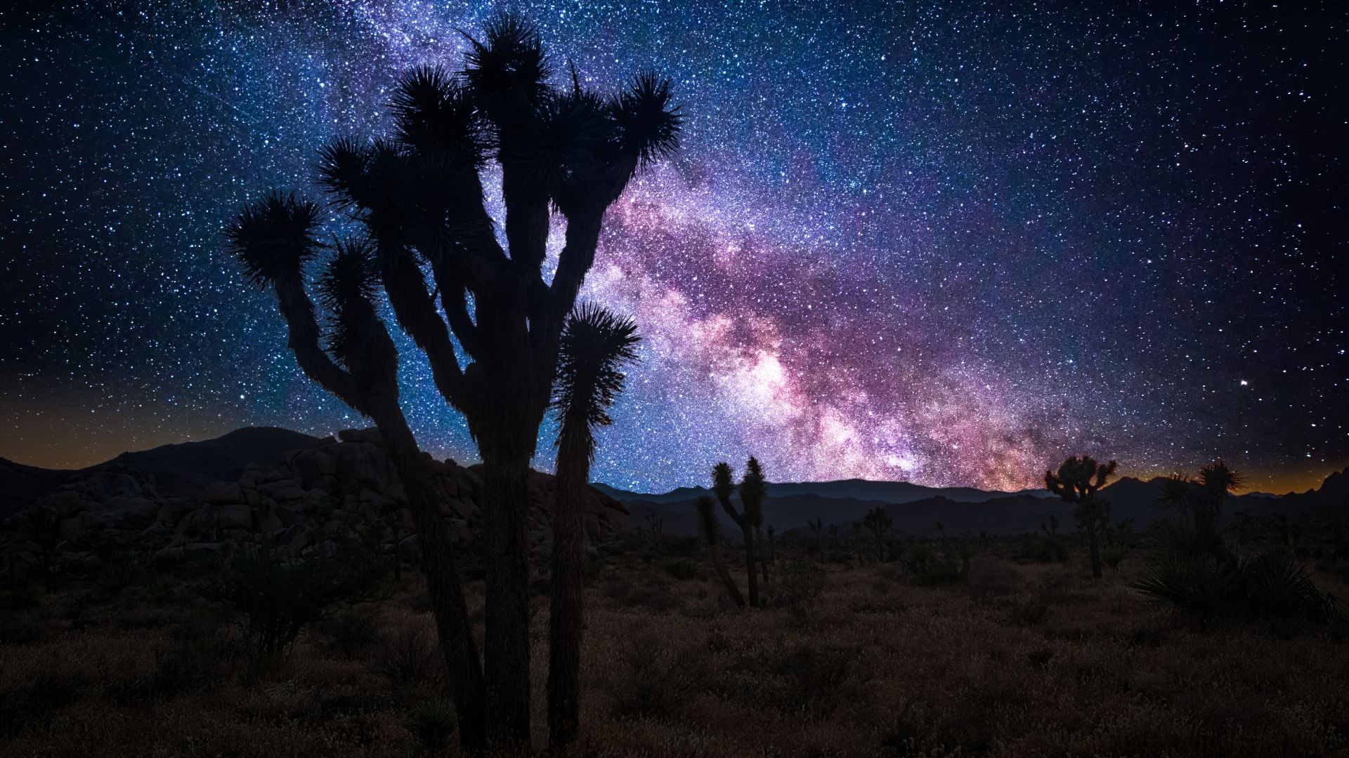 A silhouetted Joshua tree stands against a vibrant pink and purple sunset sky with a bright full moon visible above, in Joshua Tree National Park, California.