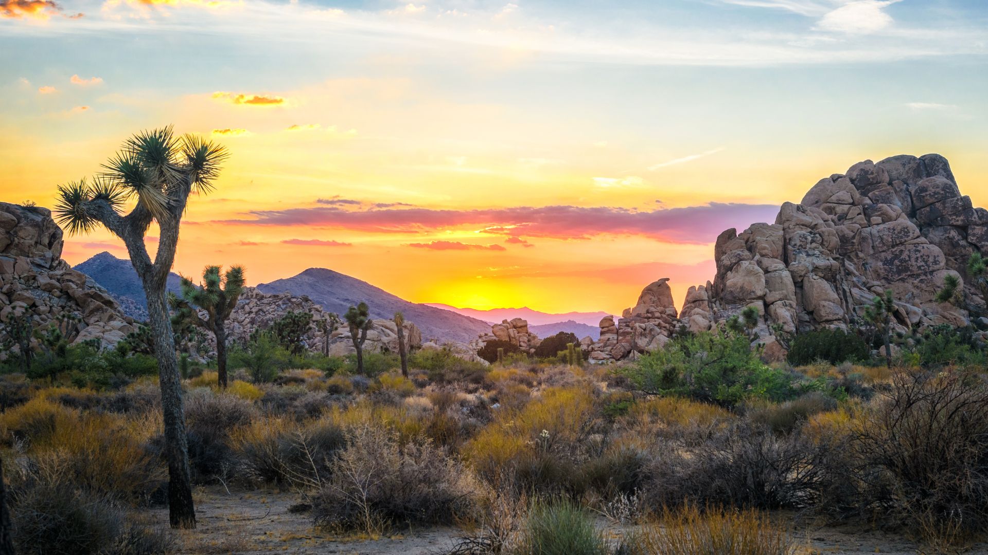 Sunset over Joshua Tree National Park, showcasing the iconic Joshua trees, rocky landscapes, and a vibrant sky. A popular destination in Southern California for hiking, camping, and desert exploration.