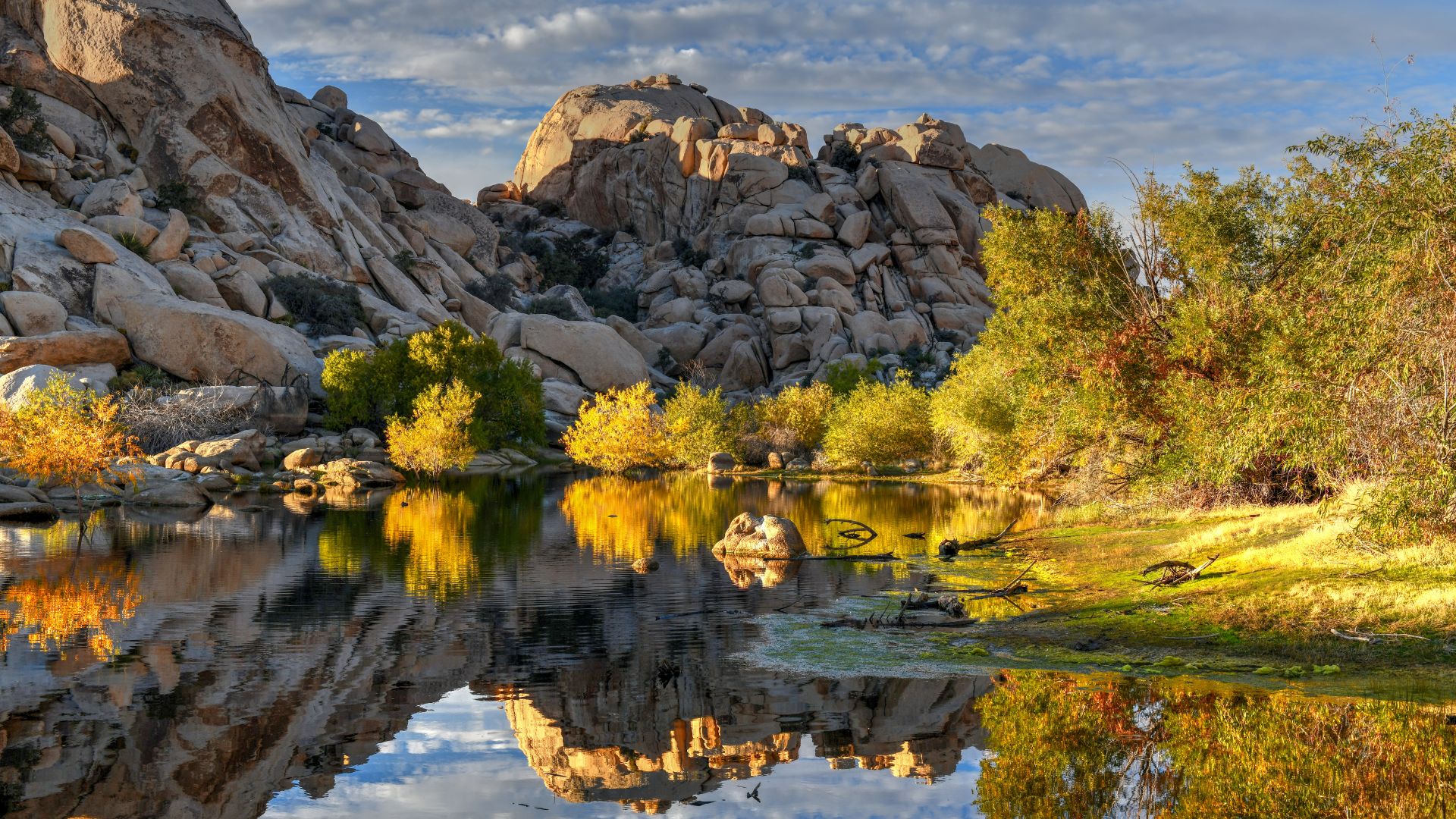 A serene desert landscape featuring Barker Dam in Joshua Tree National Park, California, with still water reflecting the large granite rock formations and golden-hued trees under a partially cloudy sky.