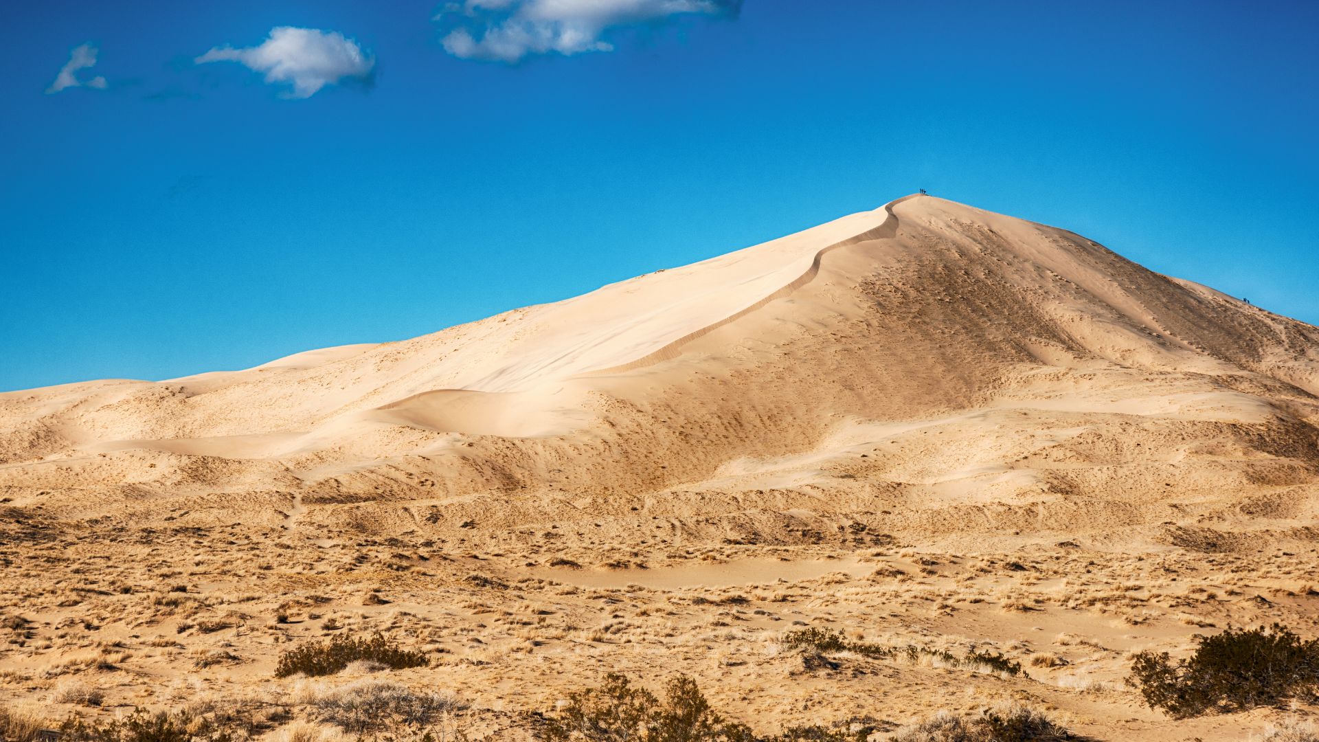 A sweeping view of the Kelso Dunes in California, featuring rippled sand in the foreground leading to larger dunes and sparse desert vegetation under a clear blue sky with a few clouds.