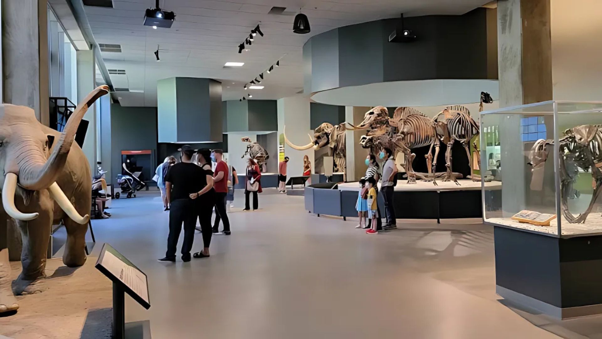 Inside La Brea Tar Pits Museum in Hancock Park, Los Angeles, California