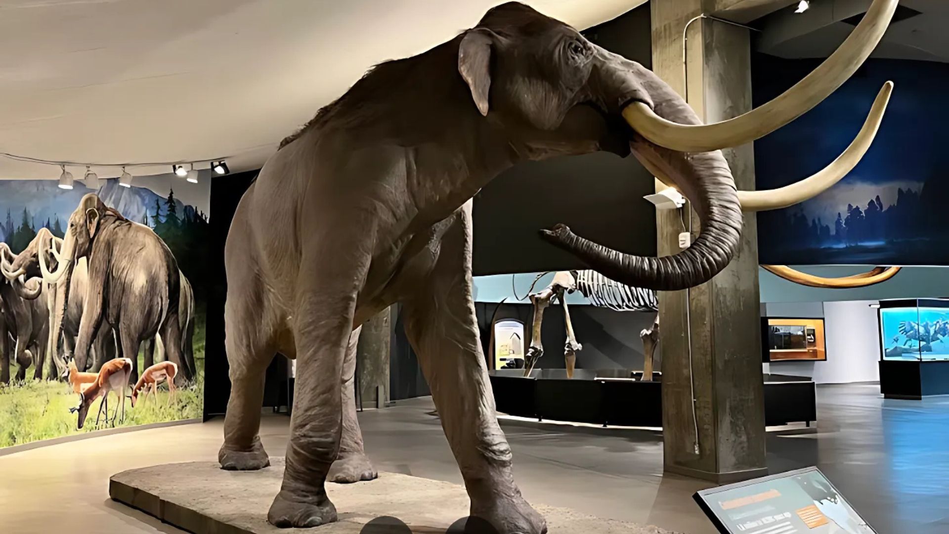 Real life size animals at the La Brea Tar Pits in Los Angeles, California