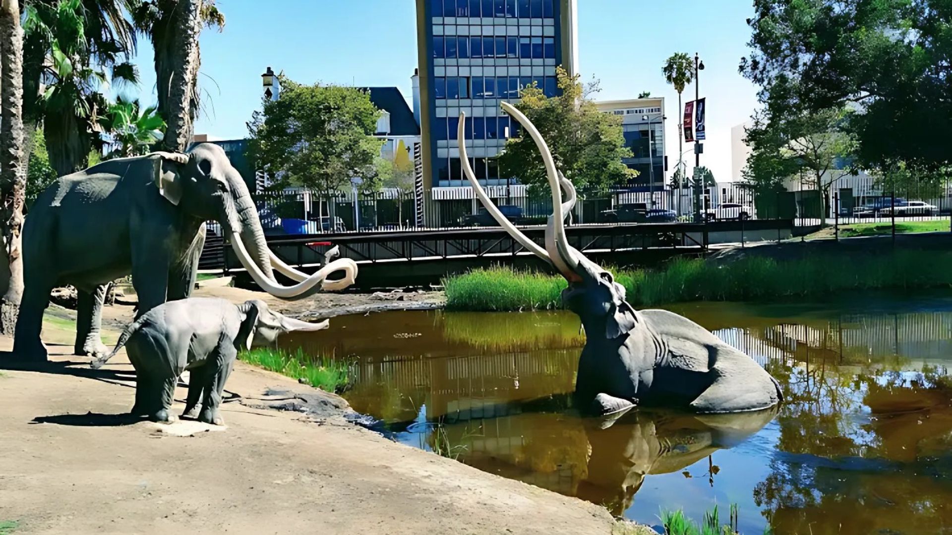 La Brea Tar Pits Museum in Hancock Park, Los Angeles, California