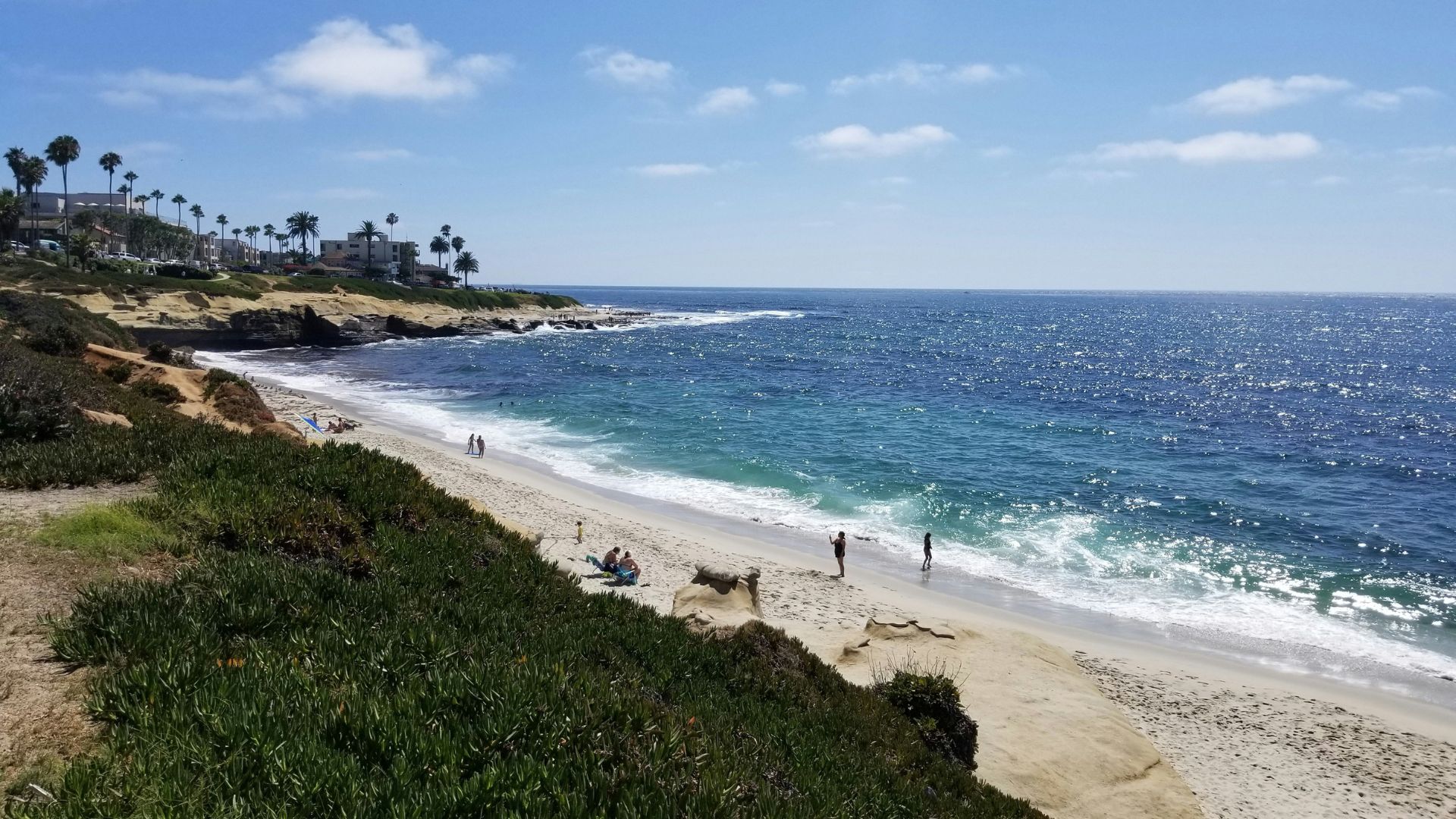 Scenic view of La Jolla Cove in San Diego, California, featuring a sunny beach, clear blue ocean, and lush green bluffs.
