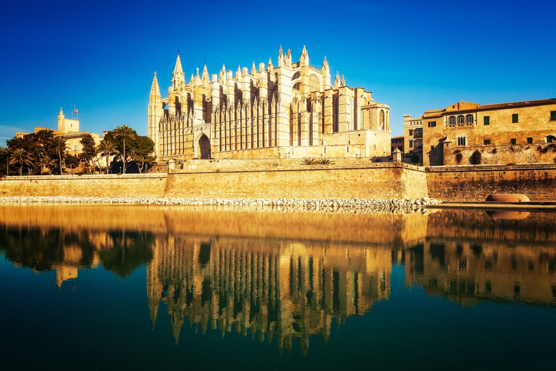 La Seu Cathedral
