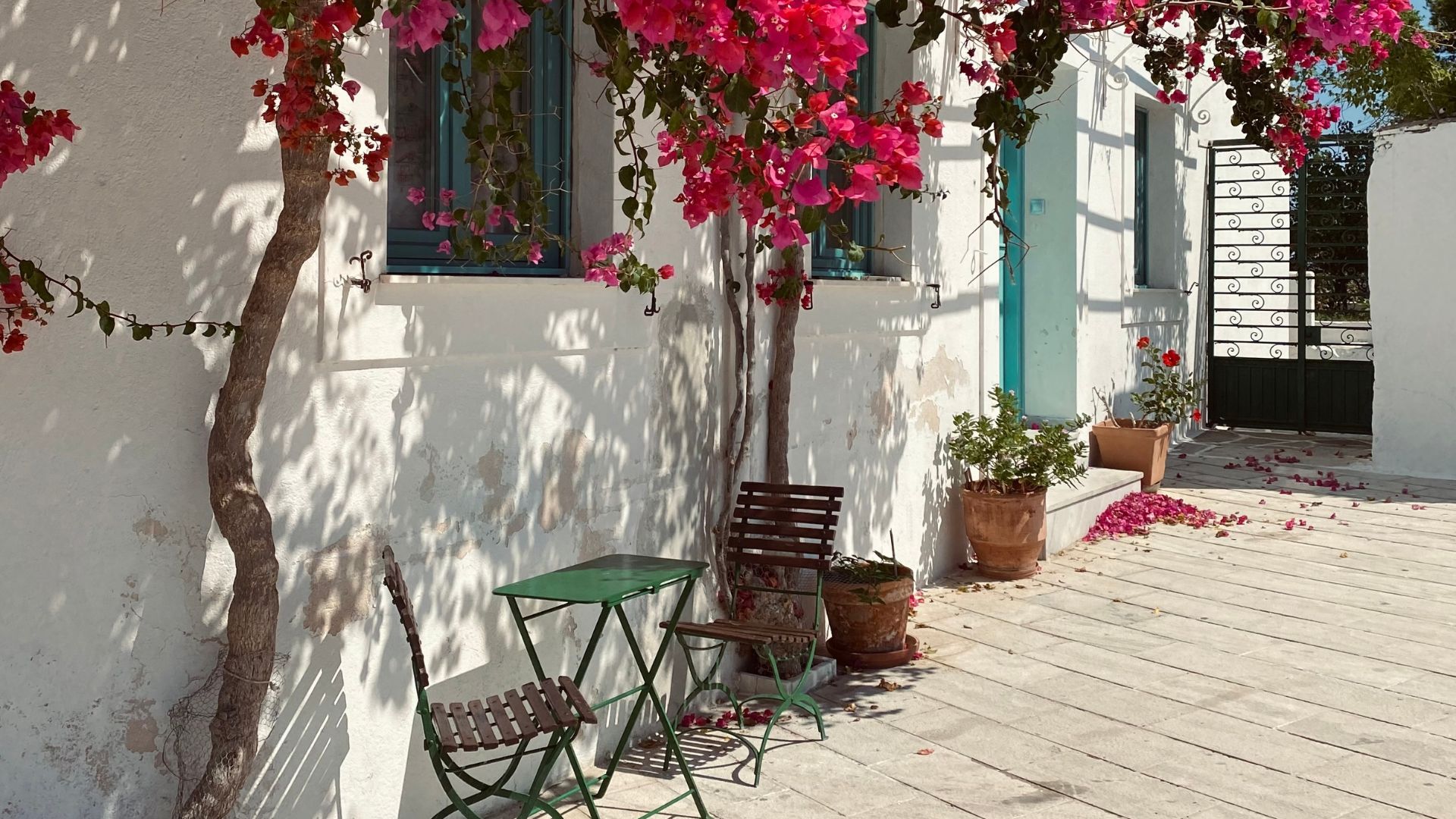 A picturesque view of a whitewashed building with pink bougainvillea in Lefkes, Paros.