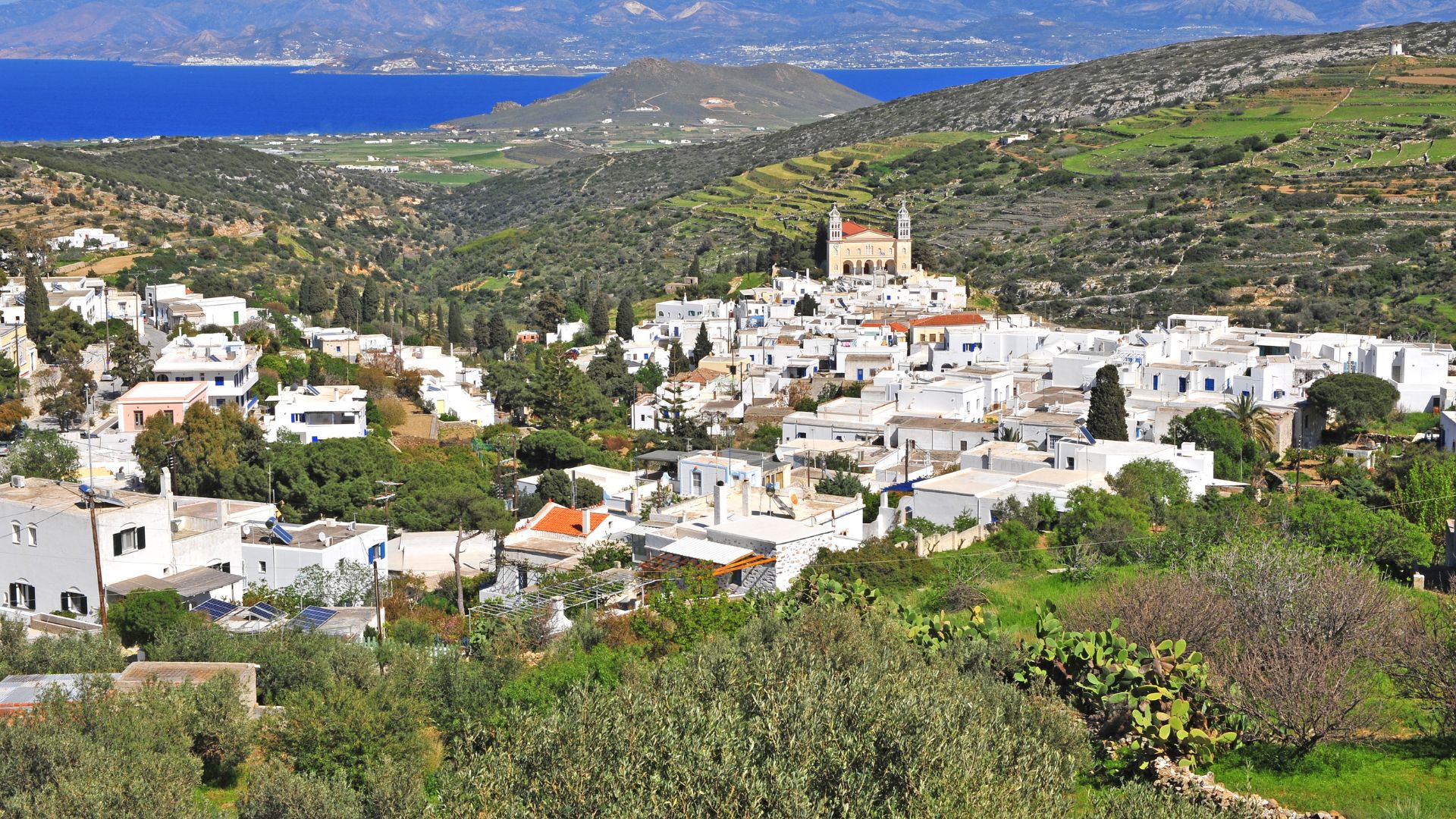 A picturesque village on a hillside in Paros, Greece, with white buildings and a church.