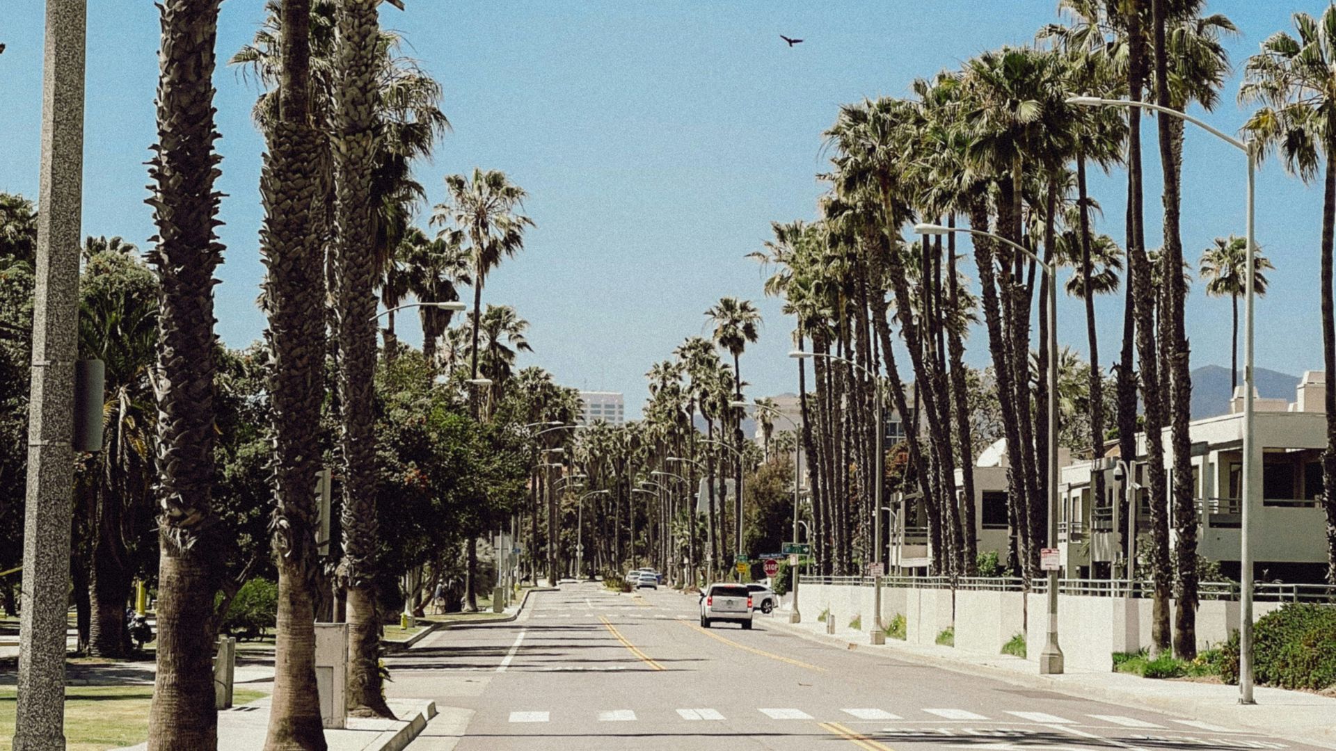 Sunny Los Angeles street lined with tall palm trees and a clear blue sky, featuring a paved road with crosswalk markings and a lone car in the distance, ideal for travel and lifestyle content.