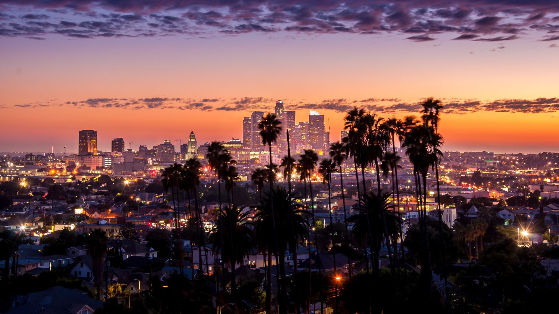 A stunning sunset over the Los Angeles skyline, with silhouetted palm trees in the foreground. The city lights twinkle against the colorful sky, capturing the beauty of Southern California.