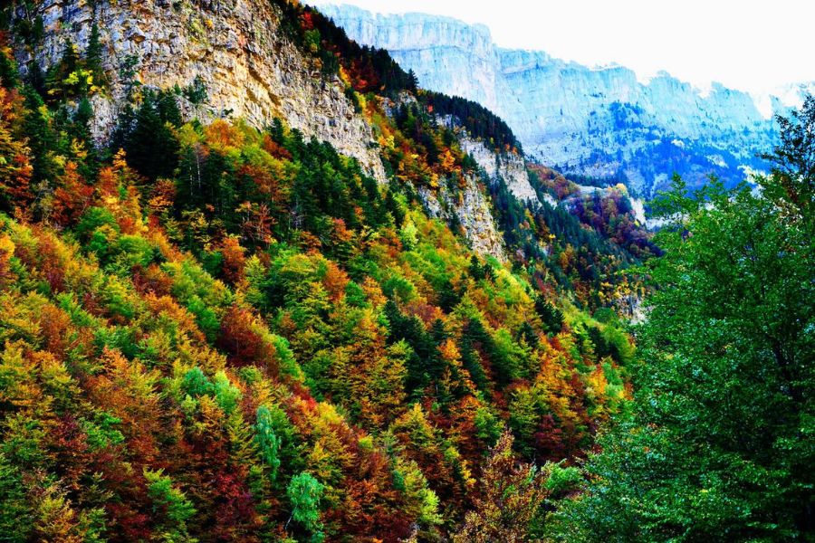 Autumn Colors in Ordesa: My Unforgettable Hike Through a Pyrenean Forest Ablaze with Gold and Crimson