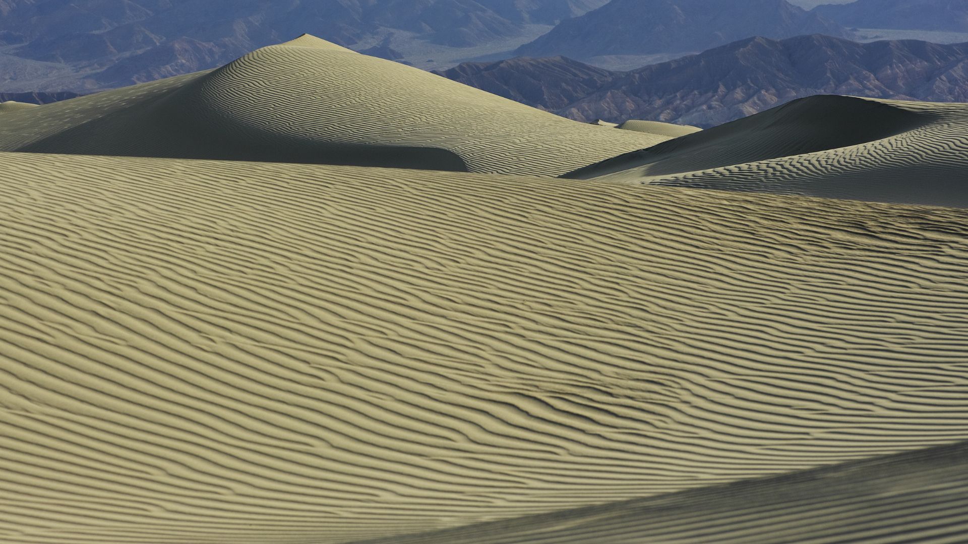 Rippled sand dunes of Mesquite Flat Sand Dunes in Death Valley National Park, California, with mountains visible in the hazy background under a clear sky.