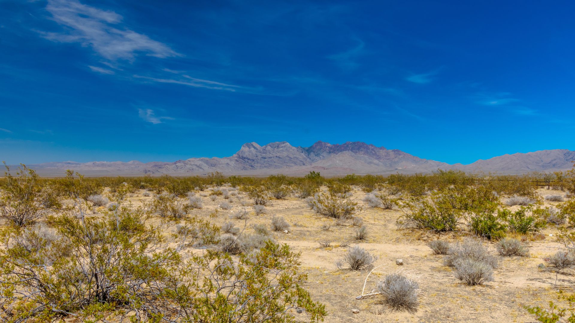 A wide shot of a desert landscape under a clear blue sky, featuring low-lying desert shrubs and sparse vegetation in the foreground and middle ground, with prominent rocky mountains in the distance under a bright sky with scattered clouds.