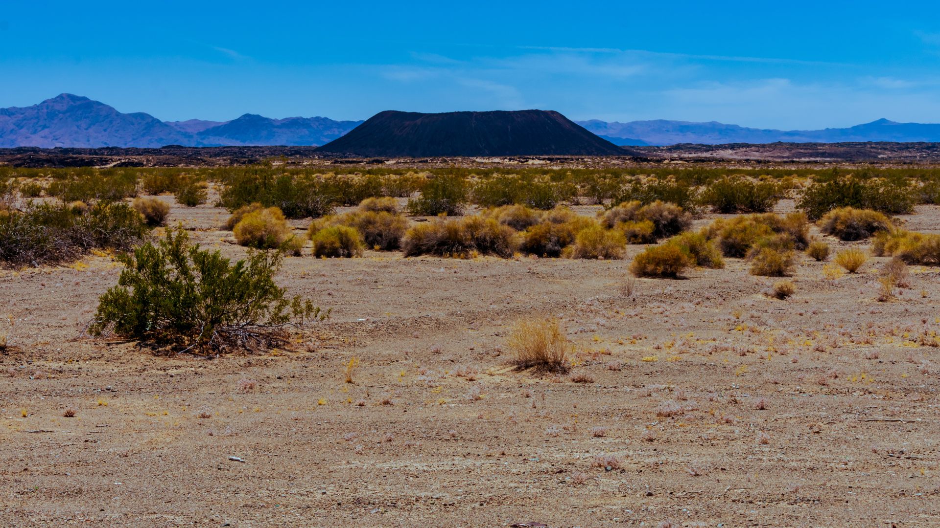 A wide shot of a desert landscape under a clear blue sky, featuring sparse, low-lying desert vegetation in the foreground and midground, with a prominent dark, conical cinder cone volcano rising in the background against distant mountains.