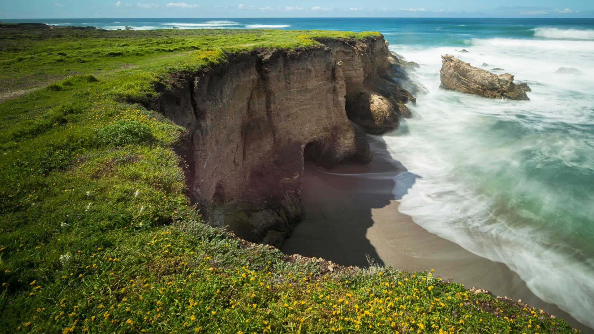 A vibrant coastal landscape at Montaña de Oro State Park features rugged cliffs covered in golden wildflowers and lush green grass overlooking a sandy beach and the Pacific Ocean, with waves crashing against the shore and a prominent sea stack in the distance. 