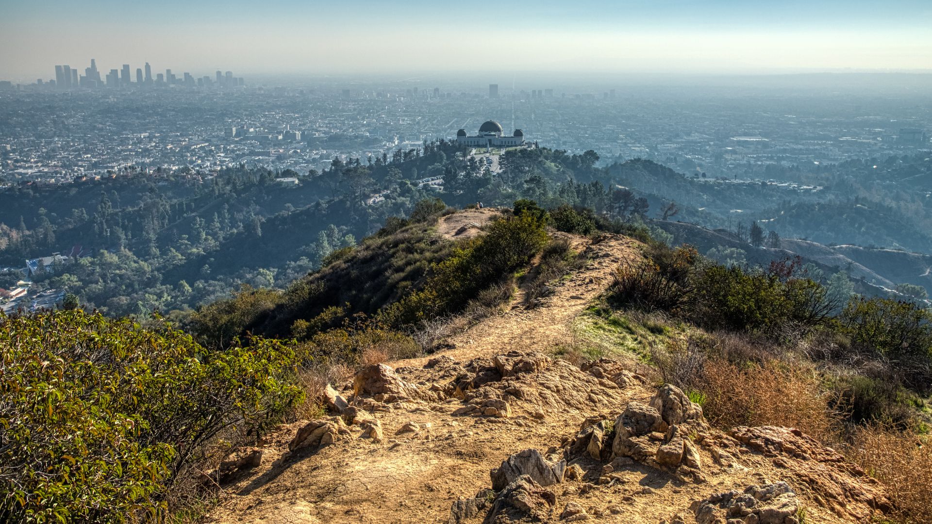 Scenic view from the Mount Hollywood Trail in Griffith Park, Los Angeles, featuring the Griffith Observatory and the city skyline.