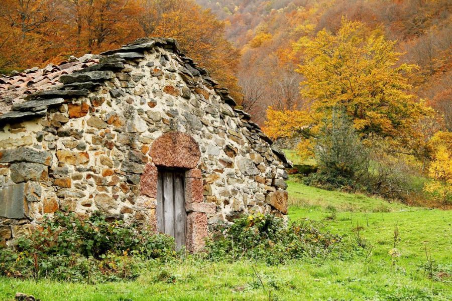Is Autumn the Secret Best Season for Asturias? Golden Forests, Fewer Tourists, and Cozy Cider Houses Await