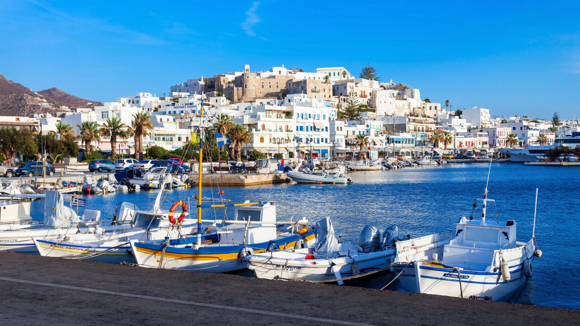 A scenic view of the town of Naxos, Greece, featuring a harbor with boats and white buildings.