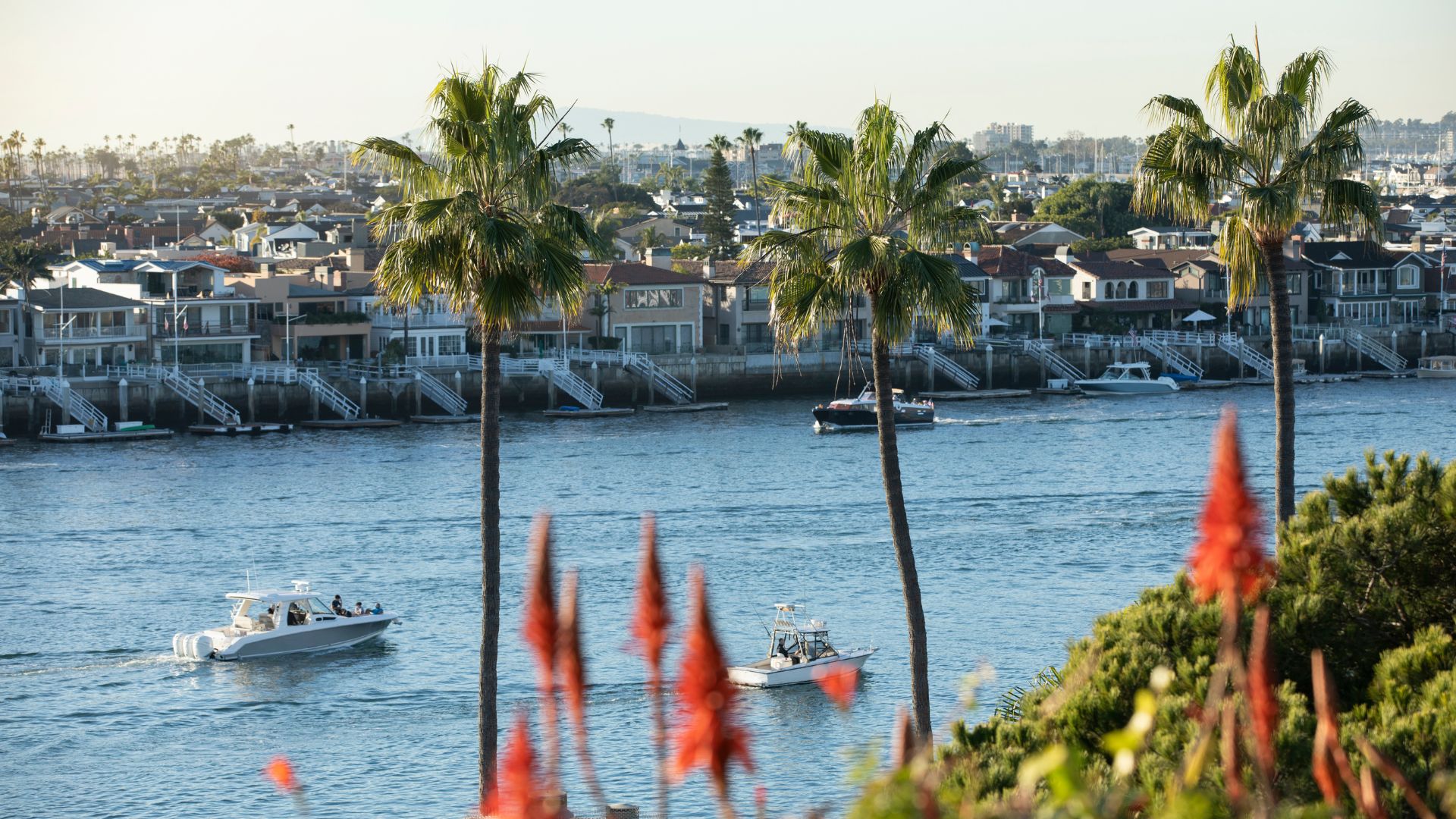 Scenic view of Newport Beach harbor in California with boats on the water, waterfront homes, and palm trees under a clear sky, perfect for coastal living and vacation rentals.