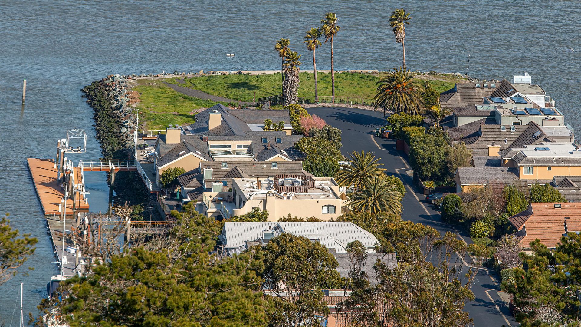 Aerial view of luxury coastal homes and palm trees in Newport Beach, California, showcasing waterfront properties and a marina.