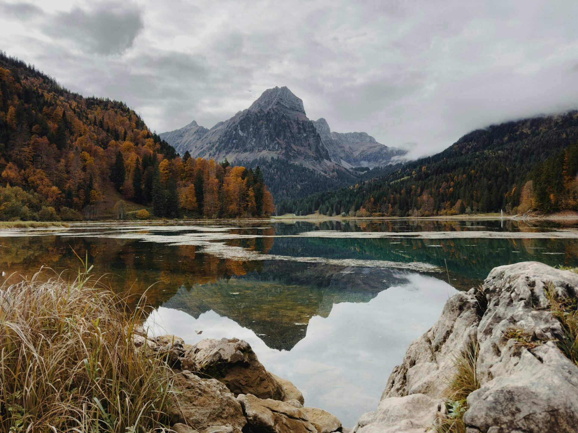 Tranquil Obersee Lake with crystal water