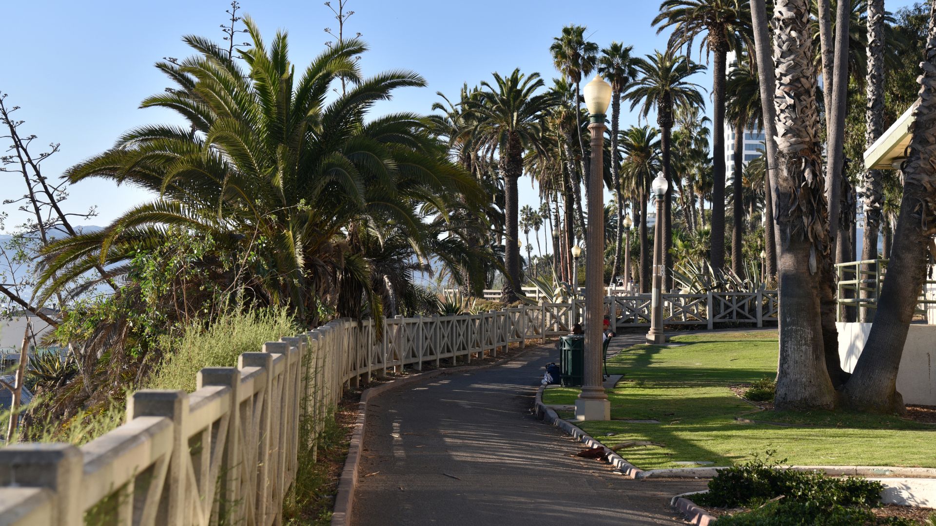 Scenic path in Palisades Park, Santa Monica, featuring lush palm trees, a wooden fence, and a classic lamppost, with the Pacific Ocean visible in the background
