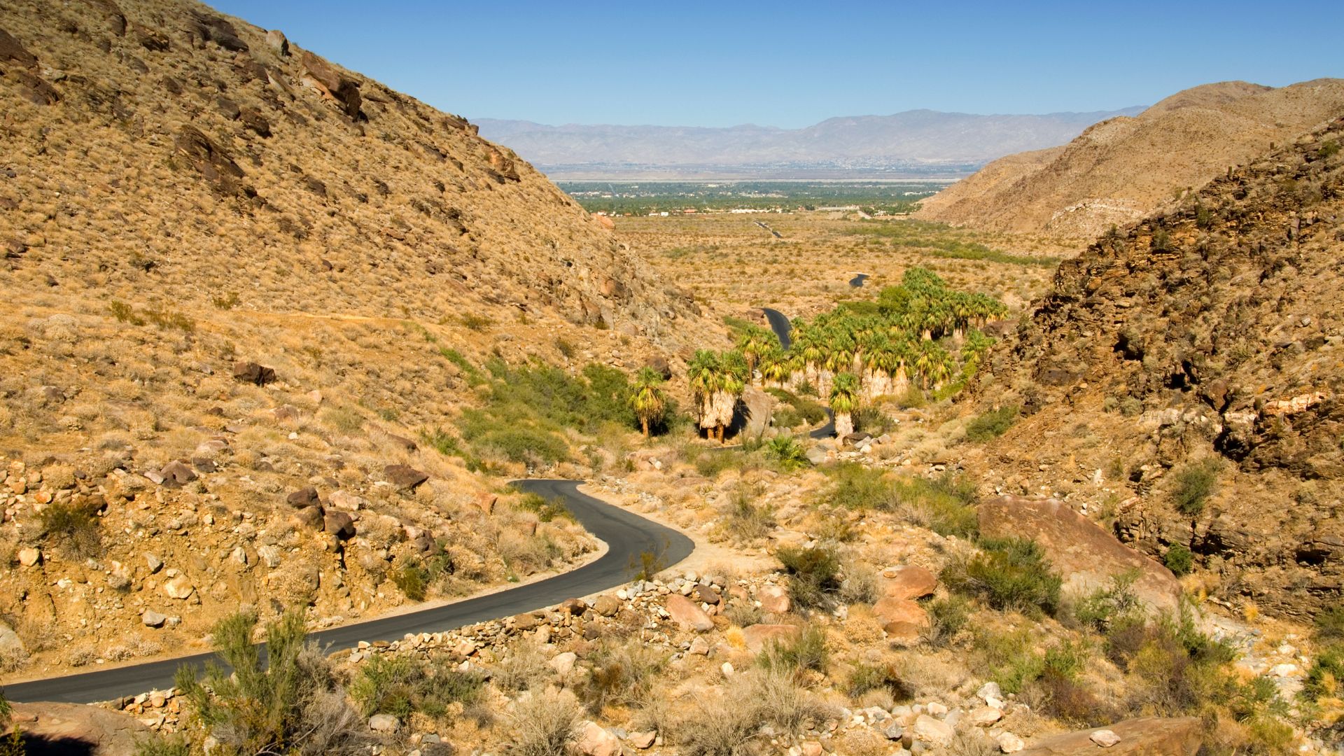 A winding paved road descends through a dry, rocky canyon with sparse desert vegetation, leading towards a lush grove of palm trees in the distance. Beyond the palm oasis, a flat valley stretches to the horizon, framed by distant mountains under a clear blue sky.