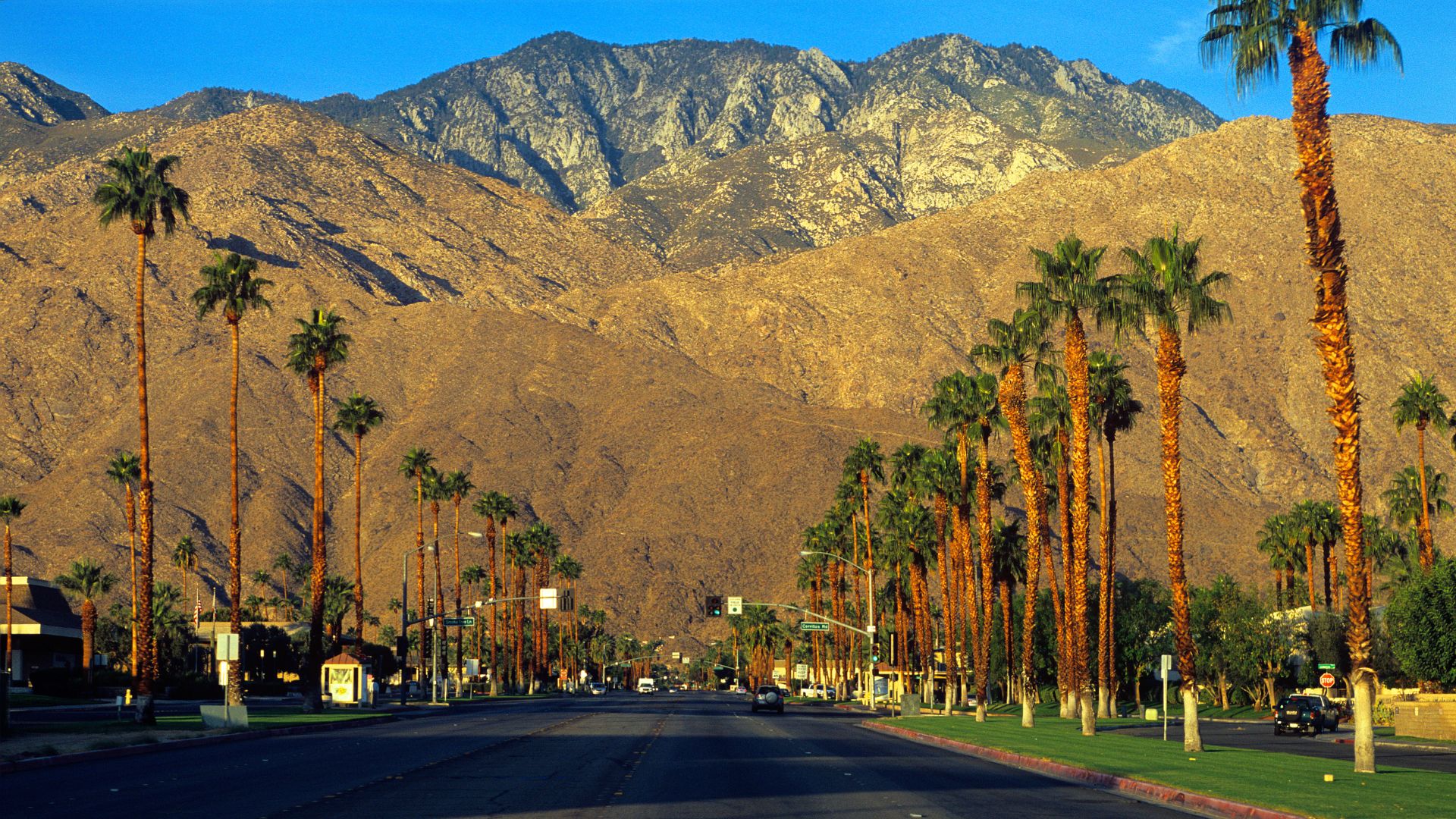 A wide street in Palm Springs, California, lined with tall palm trees on both sides, leading towards the majestic San Jacinto Mountains in the background under a clear blue sky.