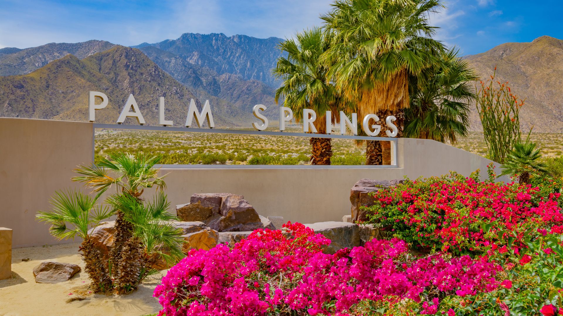 A wide shot of the Palm Springs welcome sign, featuring large white letters spelling "PALM SPRINGS" set against a backdrop of mountains and a clear blue sky. In the foreground, vibrant pink bougainvillea flowers bloom, adding a splash of color to the desert landscape, alongside various palm trees and desert foliage.