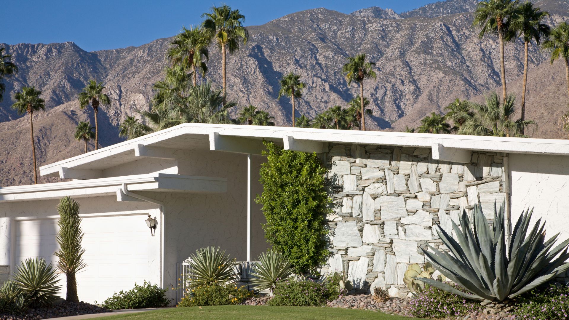 A mid-century modern house in Palm Springs, California, featuring a white facade with clean lines and a flat roof, a stone accent wall, and desert landscaping with agave plants and various shrubs. In the background, tall palm trees stand against a backdrop of rugged mountains under a clear blue sky.